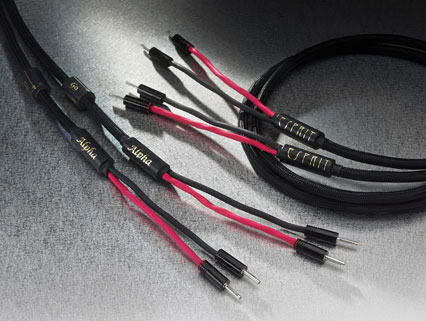 alpha-liaison-haut-parleur